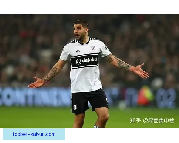 米特罗维奇技术特点