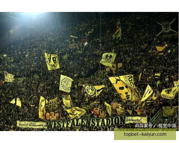 南美足球球迷文化的独特魅力与发展趋势分析